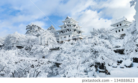 雪中的郡上八幡城 134888623