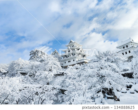 雪中的郡上八幡城 雪中的郡上八幡城 134888625