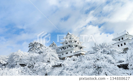 雪中的郡上八幡城 雪中的郡上八幡城 134888627