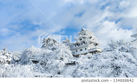 Gujo Hachiman Castle in the snow Gujo Hachiman Castle in the snow 134888642