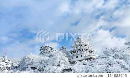 Gujo Hachiman Castle in the snow 134888643