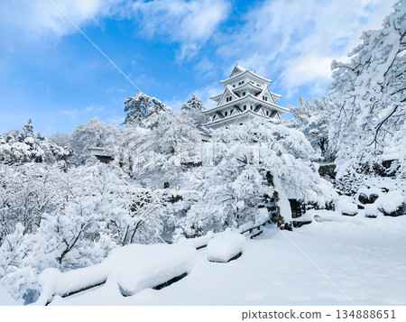 雪中的郡上八幡城 雪中的郡上八幡城 134888651