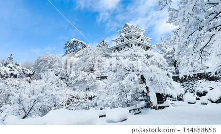 雪中的郡上八幡城 雪中的郡上八幡城 134888658