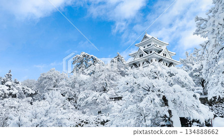 雪中的郡上八幡城 134888662