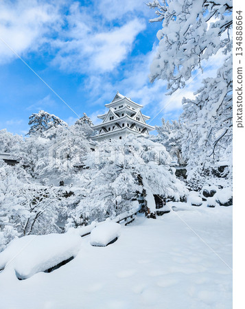 雪中的郡上八幡城 134888664