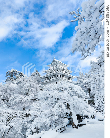 雪中的郡上八幡城 134888666