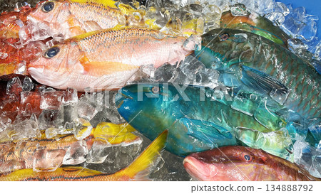 市面上排列著新鮮、色彩鮮豔的沖繩魚 市面上排列著新鮮、色彩鮮豔的沖繩魚 134888792
