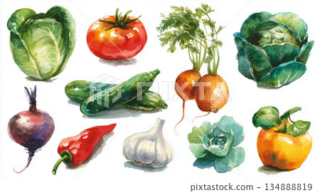 Watercolor illustrations of vegetables, collection of materials 134888819