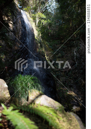 三重縣稻部市鳥林寺白瀧瀑布 134888851