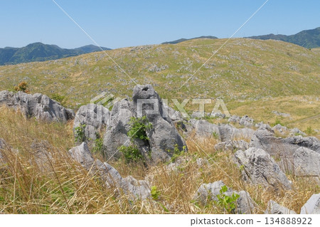 Spring 2025: Akiyoshidai with dead grass remaining. View of Jigokudai from Mt. Kanmuriyama. Spring 2025: Akiyoshidai with dead grass remaining. View of Jigokudai from Mt. Kanmuriyama. 134888922
