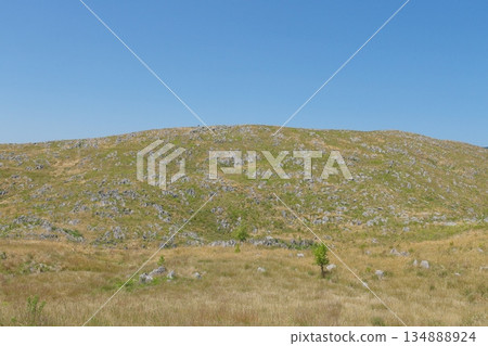 Spring 2025: Akiyoshidai with dead grass remaining. View of Jigokudai from Mt. Kanmuriyama. 134888924