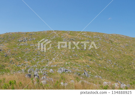 Spring 2025: Akiyoshidai with dead grass remaining. View of Jigokudai from Mt. Kanmuriyama. 134888925