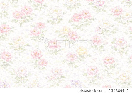 背景素材：牡丹花 134889445