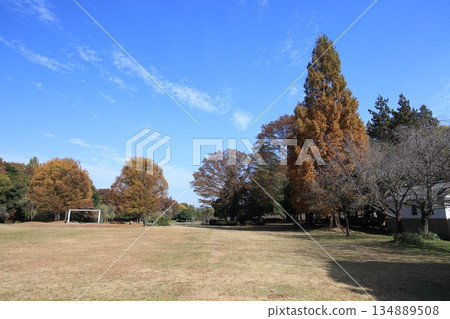 Koga Kufu Park Scenery of Koga General Park 134889508