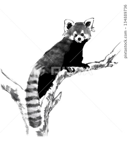 用墨水畫法繪製的樹上的小熊貓 134889736