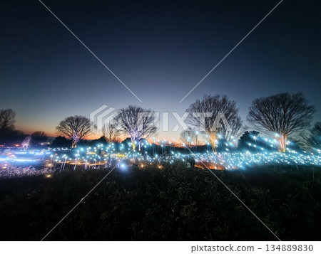 Gunma Flower Park Plus Light-up Event, Maebashi City, Gunma Prefecture Gunma Flower Park Plus Light-up Event, Maebashi City, Gunma Prefecture 134889830