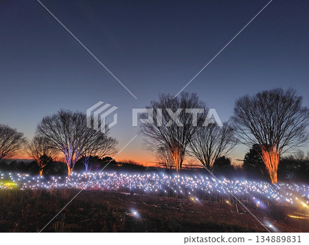 Gunma Flower Park Plus Light-up Event, Maebashi City, Gunma Prefecture Gunma Flower Park Plus Light-up Event, Maebashi City, Gunma Prefecture 134889831