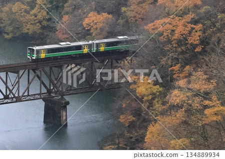 Tadami line of autumn leaves 134889934