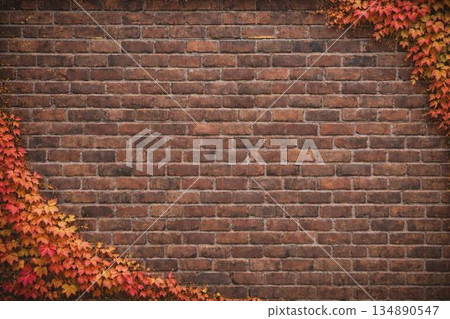 Background material: Brick wall, brick wall and autumn ivy leaves 134890547