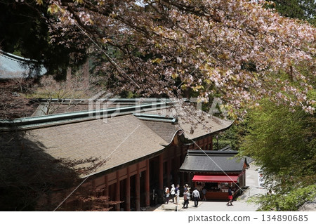 Nemoto Chudo，Hieizan Enryakuji [滋賀縣大津市] 134890685
