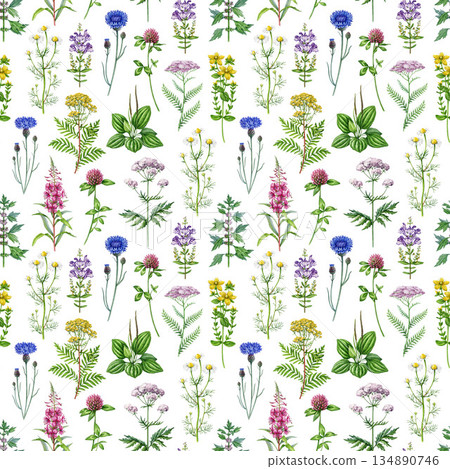 Medicinal wildflowers and herbs seamless pattern element. Hand drawn blooming chamomile, yarrow, tansy, plantain, cornflower, valerian wild healing plants watercolor illustration on white background Medicinal wildflowers and herbs seamless pattern element. Hand drawn blooming chamomile, yarrow, tansy, plantain, cornflower, valerian wild healing plants watercolor illustration on white background 134890746