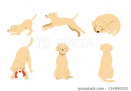 狗狗手繪插畫集 134890783