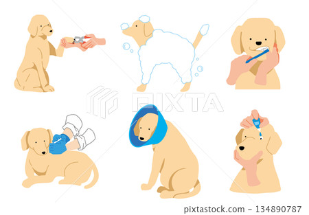 狗狗手繪插畫集 狗狗手繪插畫集 134890787