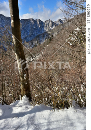 Mount Echizen in the Aitaka Mountains: Snow-capped Mount Nokogiri, Mount Horai (Mount Horai), and Mount Yobuko from the Nokogiri-dake Observatory 134890929