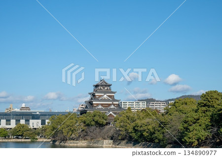 廣島城正塔 <2025年12月> 134890977