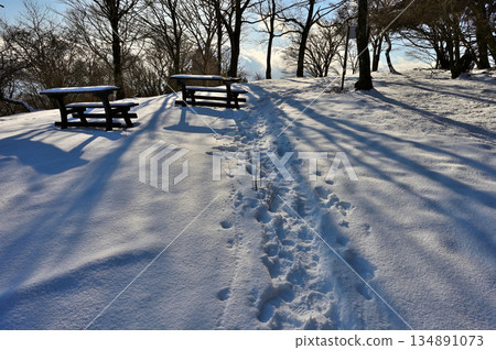 足座山脈的黑岳：晨曦灑在白雪皚皚的山頂上。 134891073