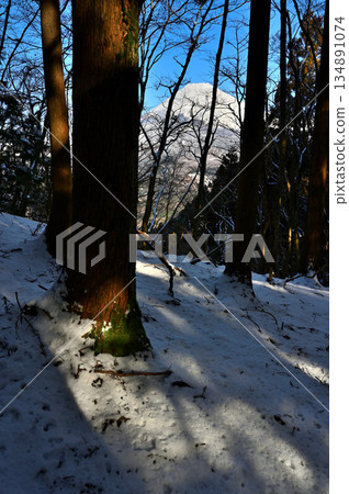 足座山脈的黑嶽：富士山從白雪皚皚的森林中探出頭來。 134891074