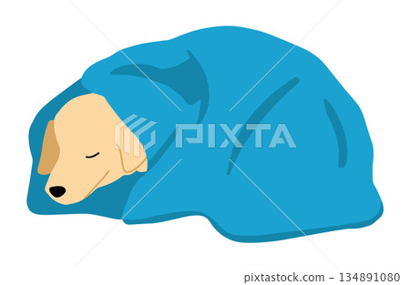 手繪狗狗插圖，裹在毯子裡 134891080