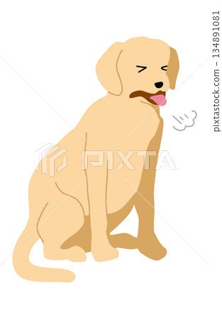 狗手繪插圖咳嗽 狗手繪插圖咳嗽 134891081