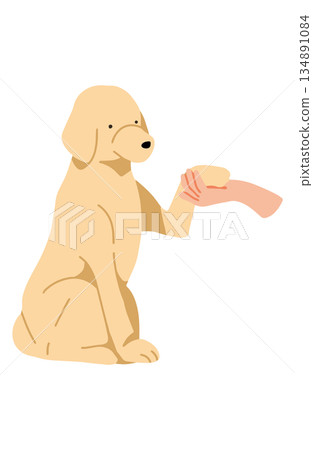 狗狗手繪插圖爪子 狗狗手繪插圖爪子 134891084