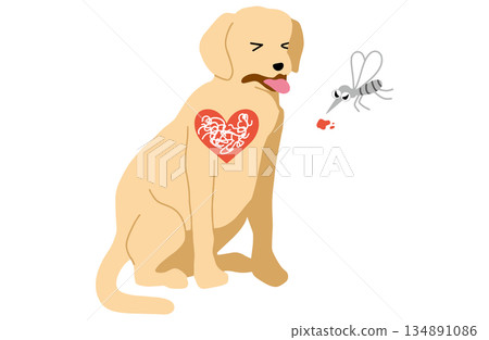 Dog hand-drawn illustration heartworm disease 134891086