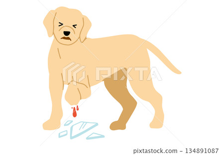Dog hand-drawn illustration injury 134891087