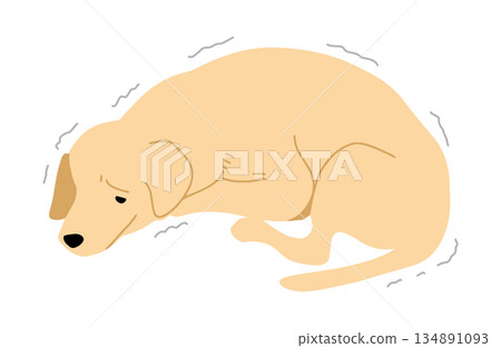 手繪狗插圖顫抖 134891093