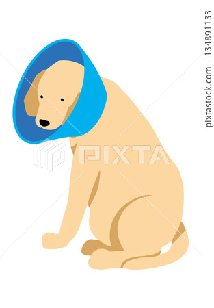 伊莉莎白的手繪狗插畫 伊莉莎白的手繪狗插畫 134891133