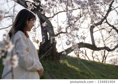 櫻花樹和孕婦 櫻花樹和孕婦 134891404