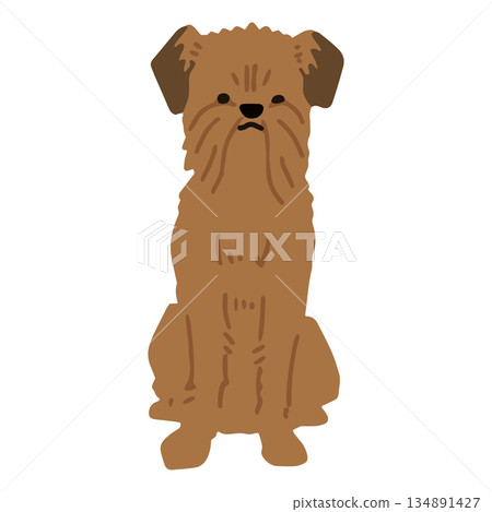 手繪布魯塞爾格里芬犬插圖 手繪布魯塞爾格里芬犬插圖 134891427