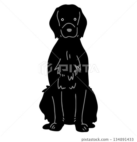 手繪狗插圖 平毛尋回犬 手繪狗插圖 平毛尋回犬 134891433