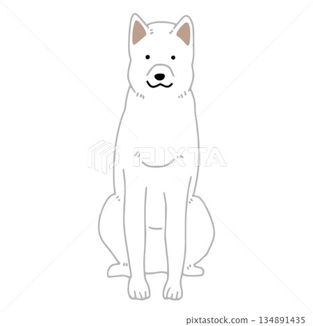 Dog hand-drawn illustration Kishu dog 134891435