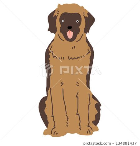 手繪萊昂貝格犬插圖 134891437