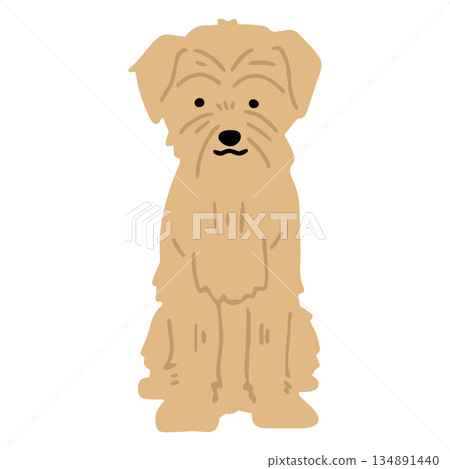 手繪諾福克梗犬插圖 134891440