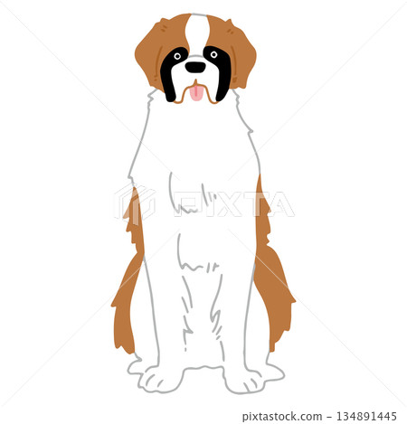 手繪聖伯納犬插圖 手繪聖伯納犬插圖 134891445