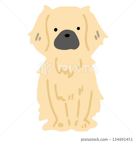 手繪藏獒犬插圖 134891451