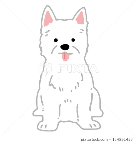 手繪西高地白梗犬插圖 134891453
