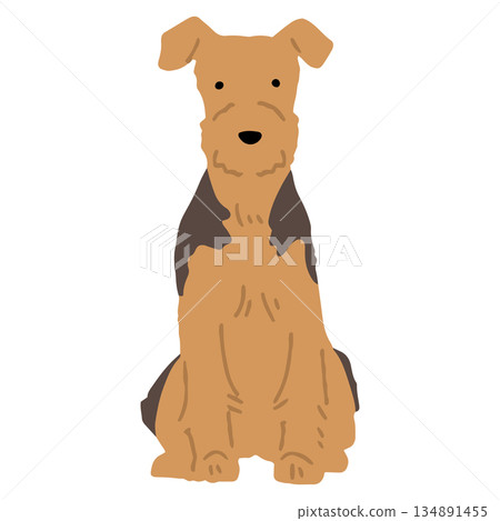 手繪威爾斯梗犬插圖 手繪威爾斯梗犬插圖 134891455