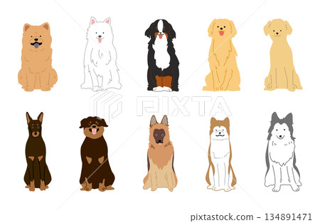 狗狗手繪插圖大狗套裝 134891471