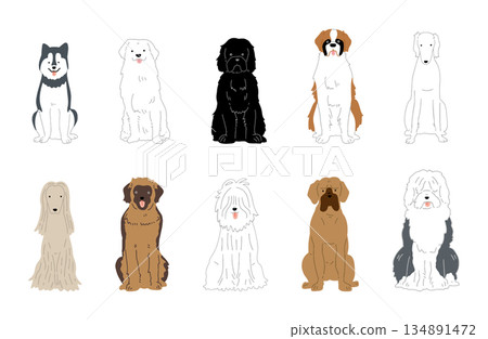 狗狗手繪插圖大狗套裝 134891472